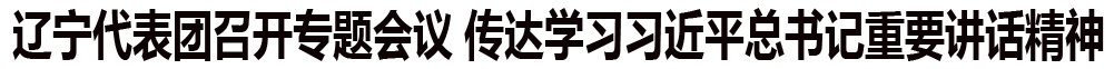 传达学习习近平总书记重要讲...